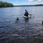 Larry Shea - @shea_larry - Instagram