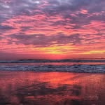 Larry Shea - @larryshea12 - Instagram