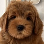 Larry Shipton - @larryshipton - Instagram