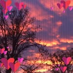 Larry W Shirkey - @larryw.shirkey - Instagram