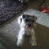 larryshober95 - @larryshober95 - TikTok