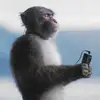 Larry Simpsons - @larry.simpsons - TikTok