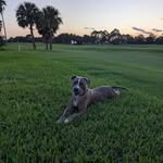 Larry Singh - @larry.singh1 - Instagram