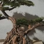 @larry_sipelaut - Instagram