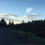 Larry Small - @larry.small - Instagram