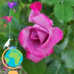 Larry Smithwick III - Facebook