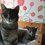 Larry And Smokey - @larry_smokey - Instagram