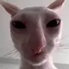 larry.so.smooth - @larry.so.smooth - TikTok