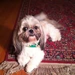 Larry Sokolowski - @larrywsoko - Instagram