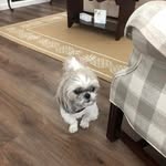 Larry Sokolowski - @larrywsoko2024 - Instagram