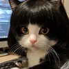 Ljbrsm - @larrysok9wy - TikTok