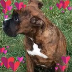 Larry Soper - @larry.soper.35 - Instagram