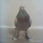 Larry Sosa - @dr.perkyyy - Instagram