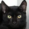 larrysouthern71 - @larrysouthern71 - TikTok