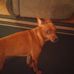 Larry Sowers - Facebook