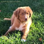 Larry Spinney - @spinneylarry - Instagram