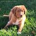 Larry Spinney - Facebook