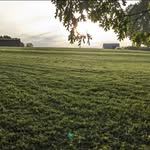 Larry’sLawnCare - @larryslawncare5 - Instagram