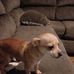 Larry Starks - Facebook