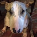 Clint Larry Stack - @clintstack - Instagram