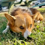 Larry St. Claire Hernandez - @larry_st._claire_ - Instagram