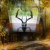 Larry Stclair - Facebook