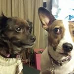 Larry Stedman - @bubbs776 - Instagram