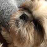 Larry Steinbach - @lux_lex_st - Instagram