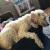 Laurie Steinborn - Facebook