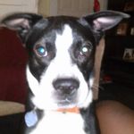 Larry Stenson - @larry.stenson.94 - Instagram