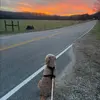 Stephen_. Larry - @stephen_..larry - TikTok