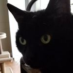 Larry Stern - @larrystern52 - Instagram