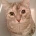 Larry Stern - Facebook