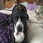 Larry Sterner - @sterner_larry - Instagram