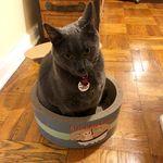 Marty Larry Stern - @mistermarvelousmarty - Instagram