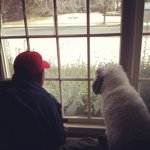 @larry_justice - Instagram