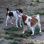 Larry Stice - @sticelarry - Instagram