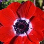 Larry Stiche - @larrystiche - Instagram