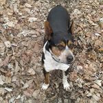 Larry Stidham - @larry.stidham.7374 - Instagram