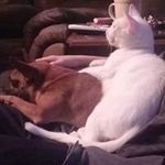 Larry Stidham - @larry_stidham - Instagram