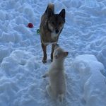@larry_stiffler - Instagram