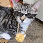 @still_not_larry - Instagram