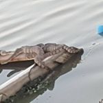 Larry Stivers - @stiverslarry - Instagram
