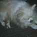 Larry Stogsdill - Facebook