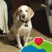 Laurie Stogsdill - Facebook