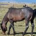Larry Stoops - Facebook