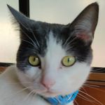 Larry - @larry_is_straight - Instagram