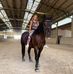 Lara Straner - Facebook