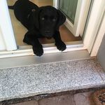 Larry Straßner - @larry_st79 - Instagram