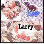 larry strawder - @lollobster55larry - Instagram